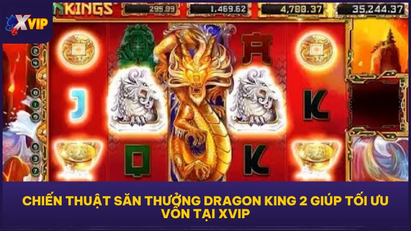 Chiến thuật săn thưởng Dragon King 2 giúp tối ưu vốn tại XVIP