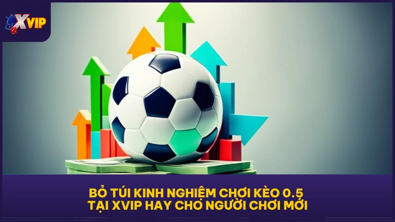 Bỏ túi kinh nghiệm chơi kèo 0.5 tại XVIP hay cho người chơi mới