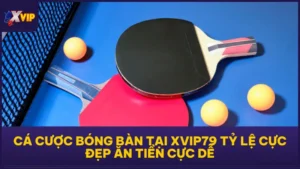 Cá Cược Bóng Bàn Tại XVIP79 Tỷ Lệ Cực Đẹp Ăn Tiền Cực Dễ