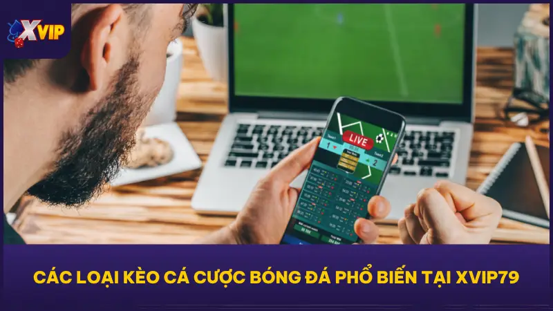 Điểm sáng lớn nhất của cá cược bóng đá tại XVIP79 là hệ thống kèo cược phong phú