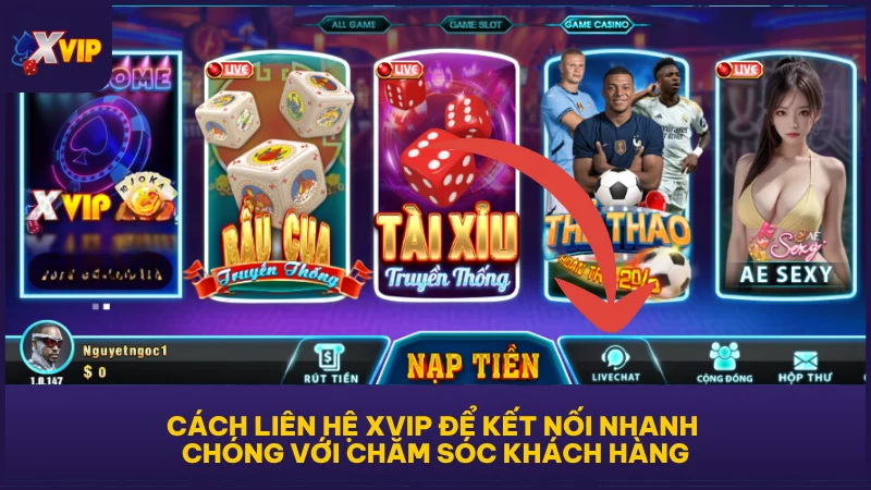 Cách liên hệ XVIP để kết nối nhanh chóng với chăm sóc khách hàng