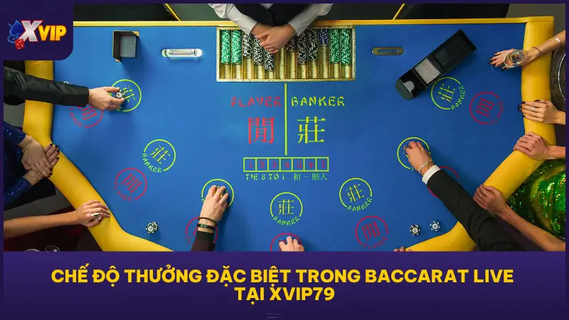 Sau mỗi ván Baccarat Live, hệ thống tại XVIP79 xử lý trả thưởng chỉ trong vòng 1,2 giây