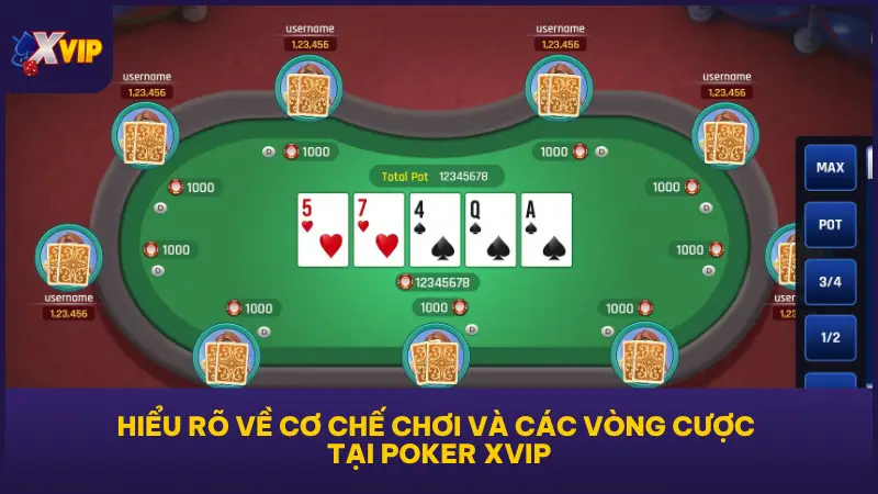 Người chơi cần hiểu rõ cấu trúc ván bài và các giai đoạn cược