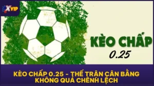 Kèo chấp 0.25 - Thế Trận Cân Bằng Không Quá Chênh Lệch