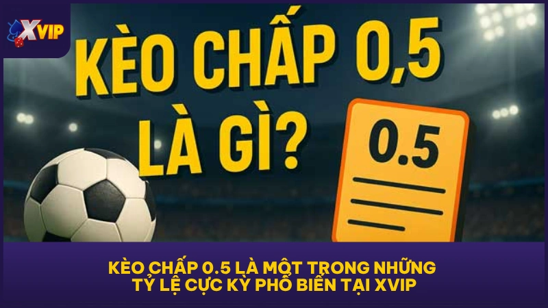 Kèo chấp 0.5 là một trong những tỷ lệ cực kỳ phổ biến tại XVIP