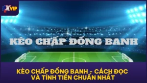 Kèo Chấp Đồng Banh - Cách Đọc Và Tính Tiền Chuẩn Nhất