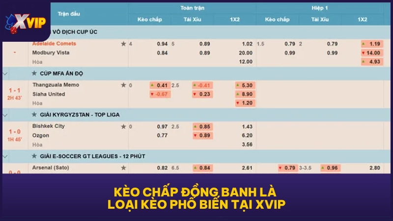 Kèo chấp đồng banh là loại kèo phổ biến tại XVIP