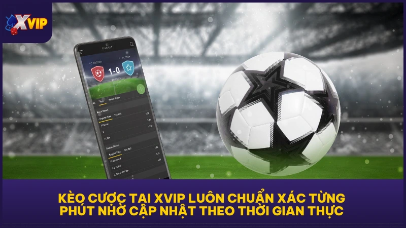 Kèo Tài Xỉu - Trọn Bộ Kiến Thức Hữu Ích Cho Newbie 5 Kèo cược tại XVIP luôn chuẩn xác từng phút nhờ cập nhật theo thời gian thực