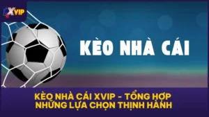 Kèo Nhà Cái XVIP - Tổng Hợp Những Lựa Chọn Thịnh Hành