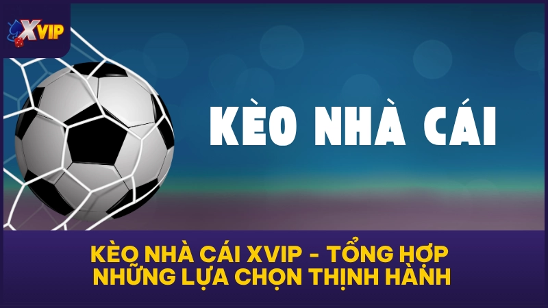 Kèo Nhà Cái XVIP - Tổng Hợp Những Lựa Chọn Thịnh Hành