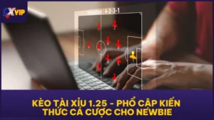 Kèo Tài Xỉu 1.25 - Phổ Cập Kiến Thức Cá Cược Cho Newbie
