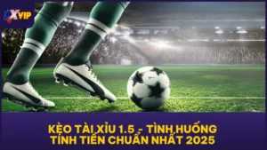 Kèo Tài Xỉu 1.5 - Tình Huống Tính Tiền Chuẩn Nhất 2025