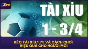 Kèo Tài Xỉu 1.75 và cách chơi hiệu quả cho người mới