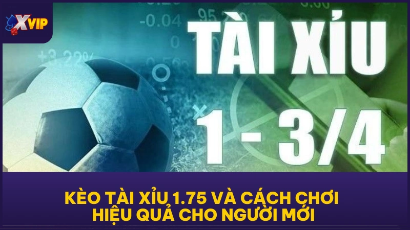 Kèo Tài Xỉu 1.75 và cách chơi hiệu quả cho người mới 1 Kèo Tài Xỉu 1.75 và cách chơi hiệu quả cho người mới