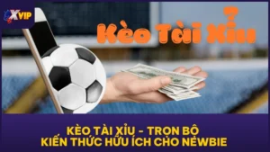 Kèo tài xỉu