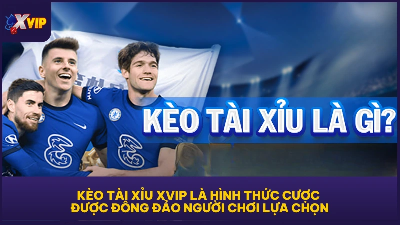 Kèo Tài Xỉu - Trọn Bộ Kiến Thức Hữu Ích Cho Newbie 2 Kèo Tài Xỉu XVIP là hình thức cược được đông đảo người chơi lựa chọn