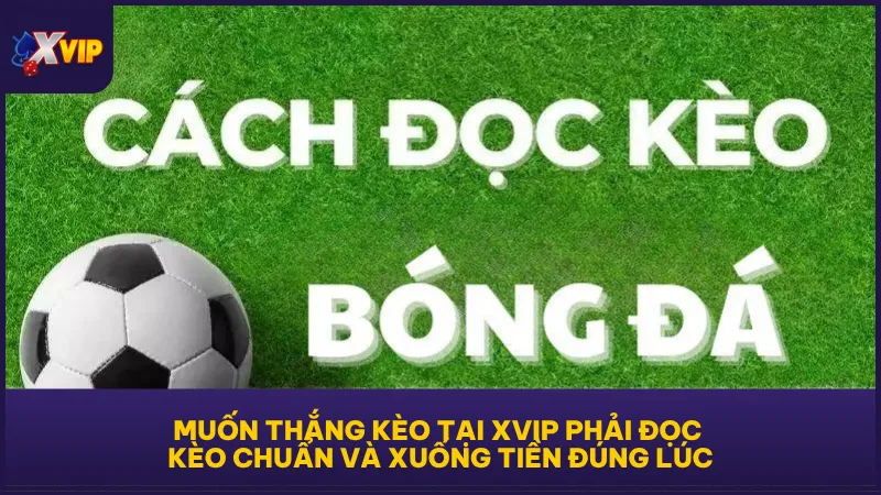 Kèo chấp 0.25 - Thế Trận Cân Bằng Không Quá Chênh Lệch 5 Muốn thắng kèo tại XVIP phải đọc kèo chuẩn và xuống tiền đúng lúc