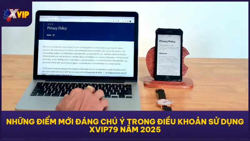 Điều Khoản Sử Dụng XVIP Rõ Ràng, Công Bằng, Minh Bạch 3 XVIP79 thường xuyên cập nhật điều khoản sử dụng để phù hợp với thay đổi từ thị trường