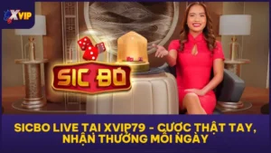 Sicbo Live Tại XVIP79 - Cược Thật Tay, Nhận Thưởng Mỗi Ngày