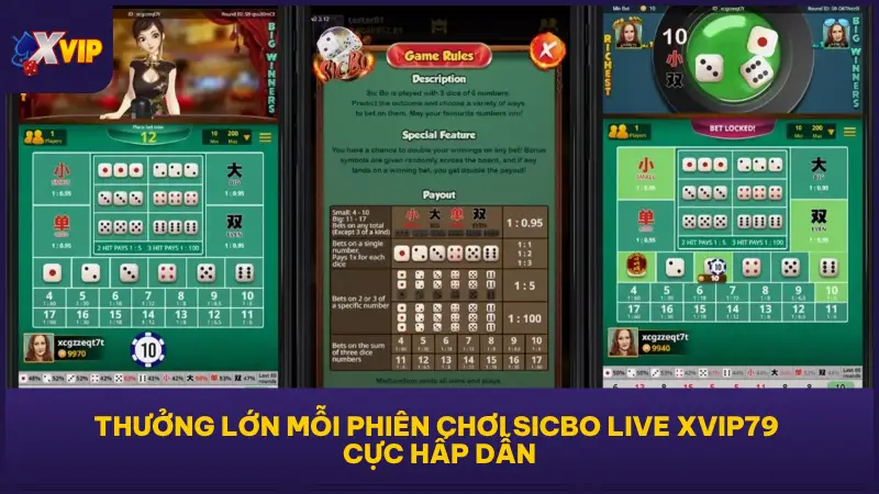 Sicbo Live tại XVIP79 trả thưởng liên tục nhờ cơ chế nhiệm vụ và combo chuỗi thắng