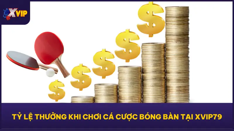 Cá Cược Bóng Bàn Tại XVIP Tỷ Lệ Cực Đẹp Ăn Tiền Cực Dễ 5 Thưởng hấp dẫn dành riêng cho cá cược bóng bàn tại XVIP79