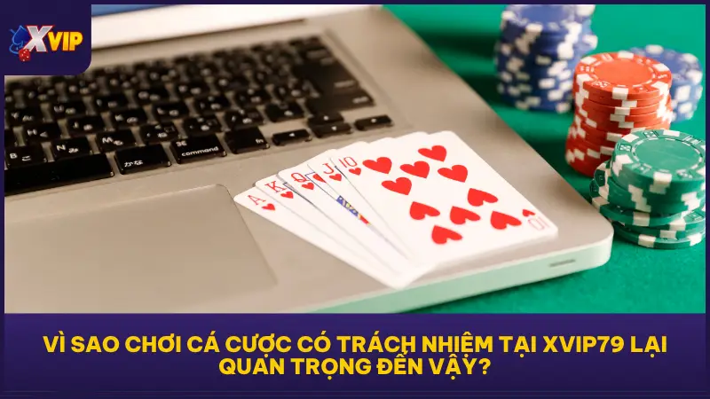 XVIP79 luôn sự nhất quán trong việc duy trì môi trường cá cược công bằng