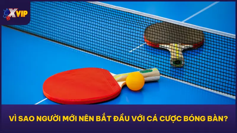 Cá Cược Bóng Bàn Tại XVIP Tỷ Lệ Cực Đẹp Ăn Tiền Cực Dễ 2 Cá cược bóng bàn tại XVIP79 là lựa chọn rất phù hợp để khởi đầu