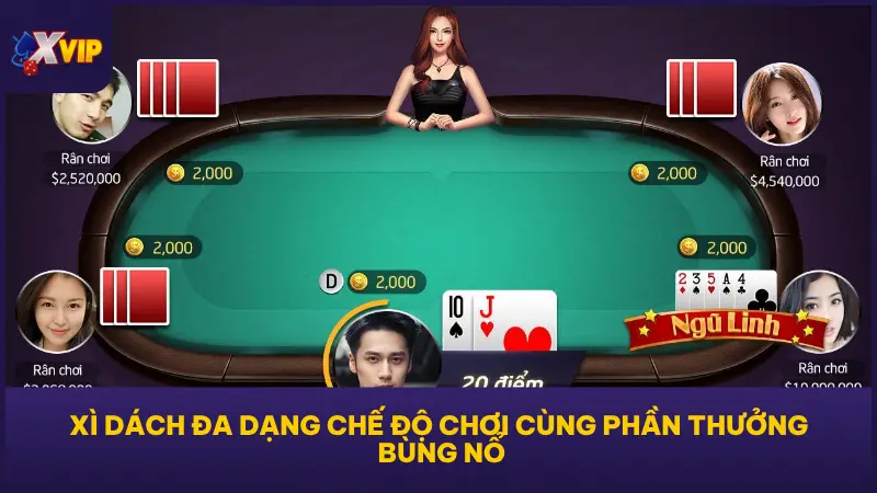 Xì Dách tại XVIP79 được chia thành nhiều chế độ phù hợp với các phong cách chơi 