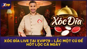 Xóc Đĩa Live Tại XVIP79 - Lắc Một Cú Để Hốt Lộc Cả Ngày
