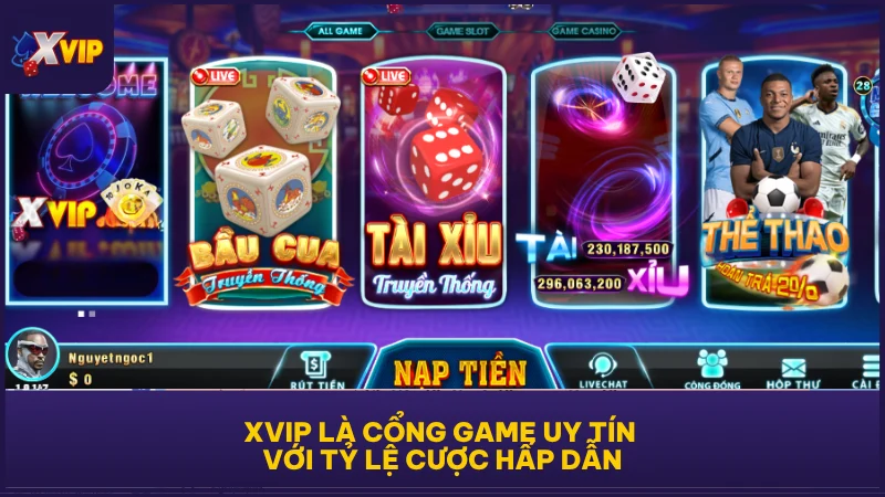 Giới Thiệu XVIP - Cổng Game Đổi Thưởng Khuấy Đảo Châu Á 1 XVIP là cổng game uy tín với tỷ lệ cược hấp dẫn