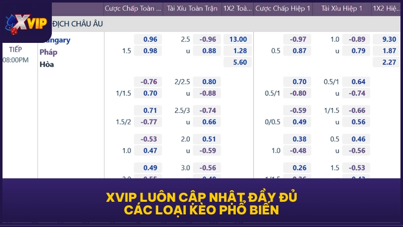 XVIP luôn cập nhật đầy đủ các loại kèo phổ biến