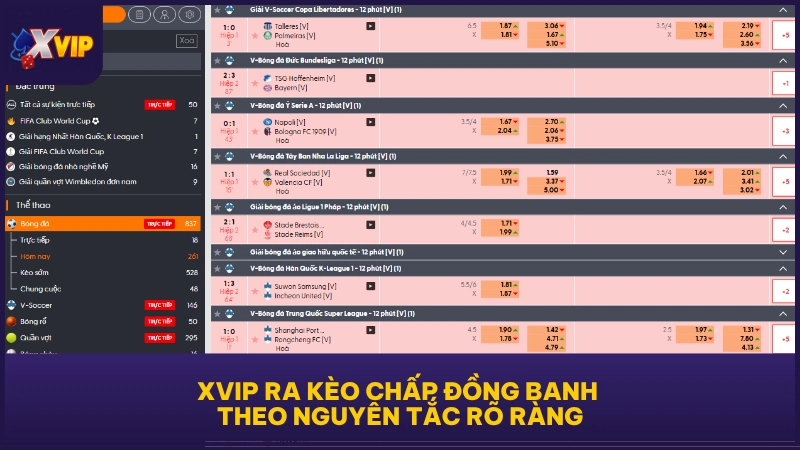 XVIP ra kèo chấp đồng banh theo nguyên tắc rõ ràng